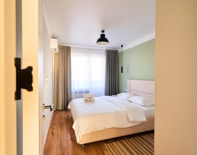 Chisinau rent – Puskin, 44